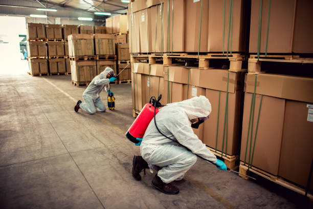 Best Affordable Pest Control Services  in Lake Dunlap, TX