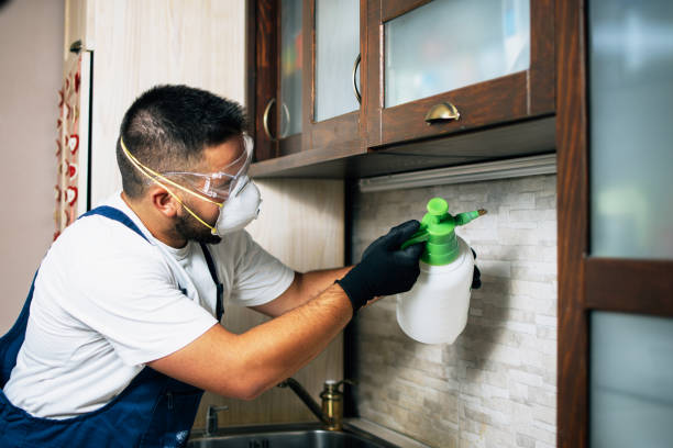 Best Insect Control  in Lake Dunlap, TX