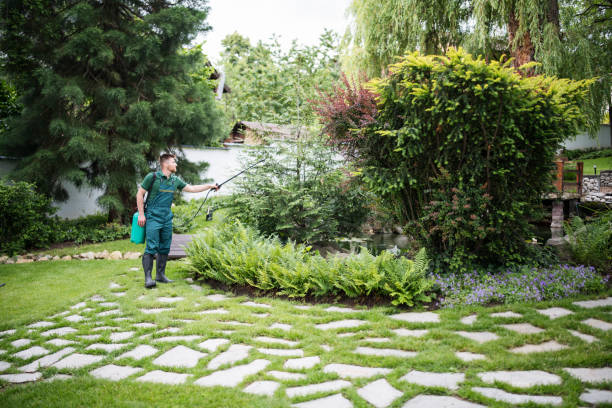 Best Pest Prevention Services  in Lake Dunlap, TX