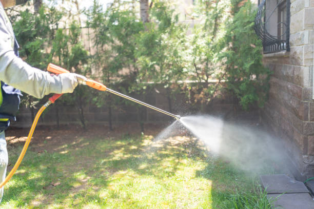 Best Exterminator Services  in Lake Dunlap, TX