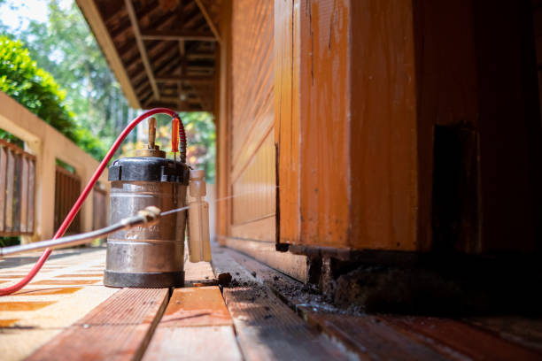 Best Pest Removal Services  in Lake Dunlap, TX