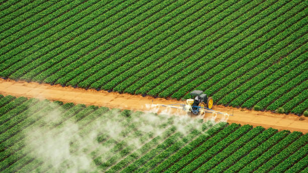 Best Pest Prevention Services  in Lake Dunlap, TX