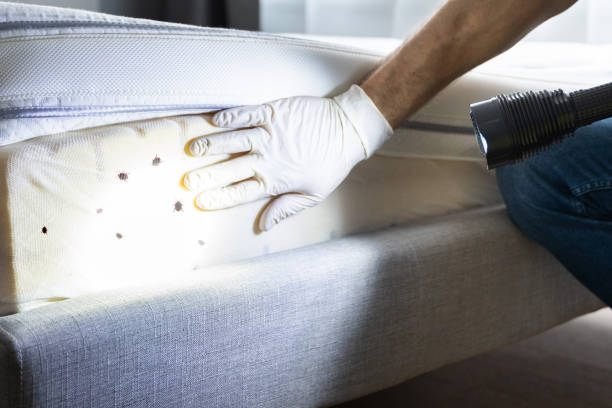 Best Pest Control Near Me in Lake Dunlap, TX