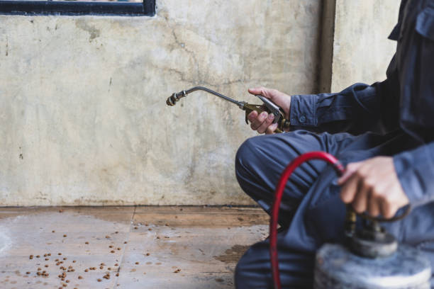 Pest Control for Restaurants in Lake Dunlap, TX