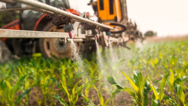 Best Mosquito Control Services  in Lake Dunlap, TX
