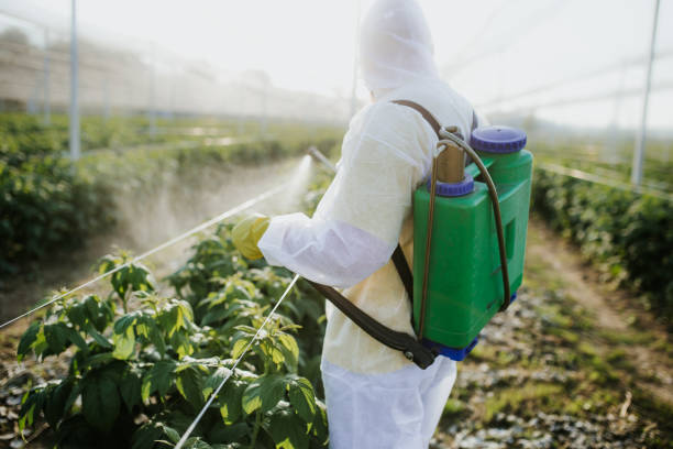 Best Affordable Pest Control Services  in Lake Dunlap, TX